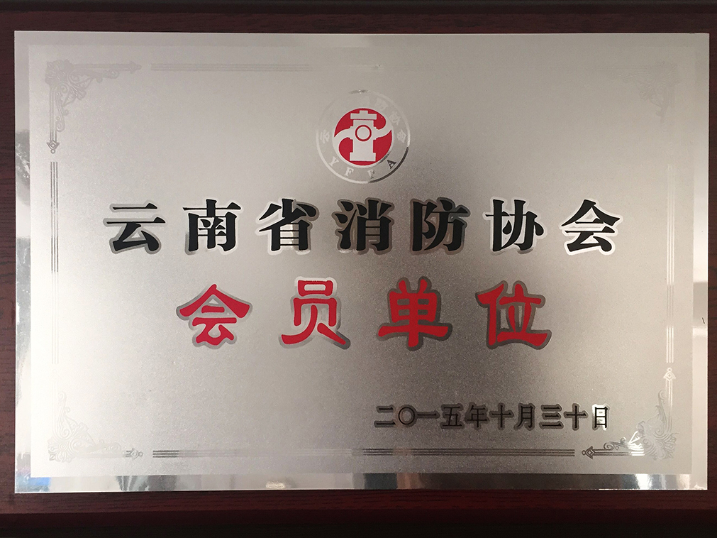云南消防協會 會員單位